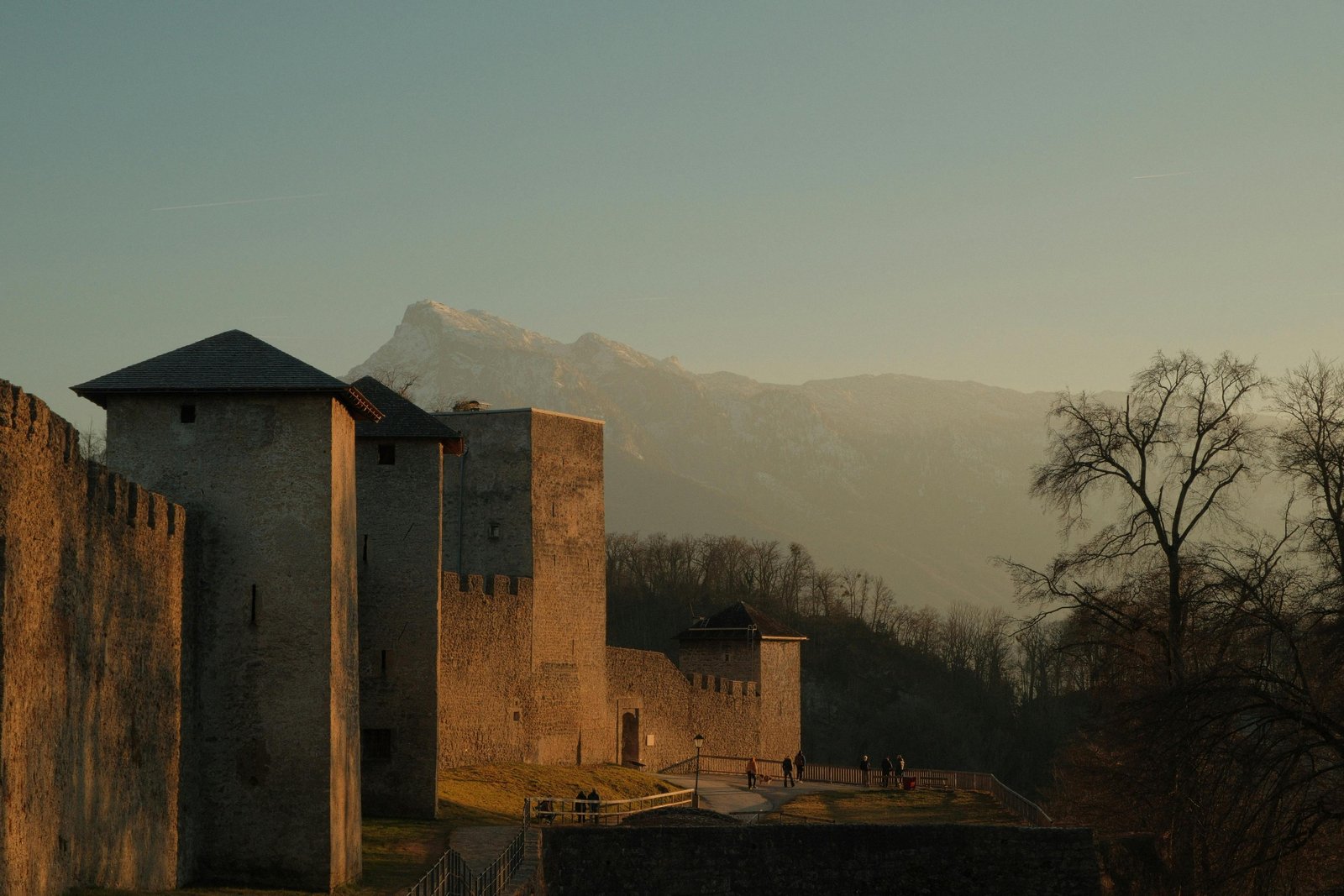 Professional Espresso Machine